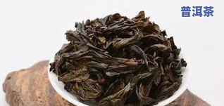 武夷山皇山润涧茶叶产品：不忘初心，始终坚持优质岩茶制作，提供各类茶叶及价格表