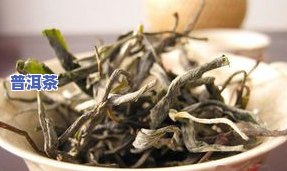 古树普洱茶冰岛茶的特点介绍及功效，含图片