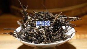 茂兰普洱茶怎么样？口感怎样？全面评测小众及其古树茶品种