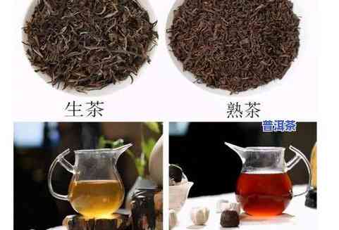 普洱茶生茶种类有哪些品种-普洱茶生茶种类有哪些品种图片