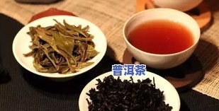 普洱茶生茶种类有哪些品种-普洱茶生茶种类有哪些品种图片