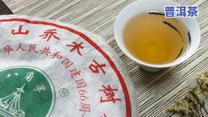 顺宁堂普洱茶价格表图片全览，一网打尽各类茶品信息！