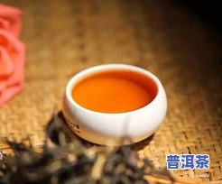 夏季适不适合喝普洱茶？探讨其对女性和用户的影响