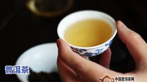 夏季适不适合喝普洱茶-夏季适不适合喝普洱茶呢