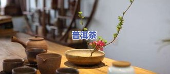 茶叶要经常换着喝吗？了解不同茶类的好处与注意事项