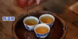 茶叶要经常换着喝吗？了解不同茶类的好处与注意事项