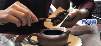 普洱茶泡制方法-普洱茶泡制方法视频