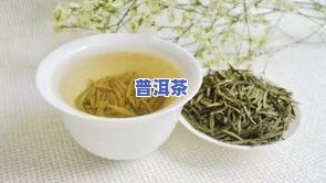 适合长期存放的茶叶有哪些？了解各类茶叶的保存方式与推荐