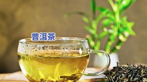 适合长期存放的茶叶有哪些品种？了解最适合收藏的茶叶类型和名称