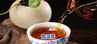 普洱茶生茶催单-普洱生茶的尴尬期