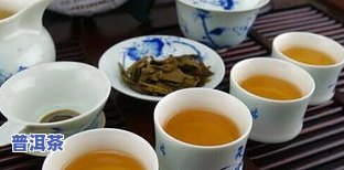 普洱茶桑椹一起泡会上火吗？能否同饮？