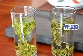 普洱茶：粗叶与细叶口感比较，怎样区分大小叶？