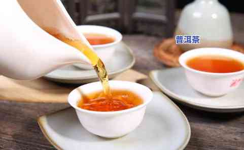 20块钱一两的茶叶能喝吗？性价比高吗？