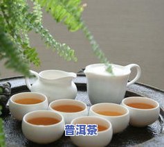 普洱茶和桑椹能一起泡茶喝吗？探讨其对女性的功效