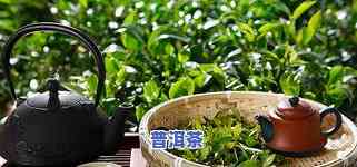 20块钱一两的茶叶-20块钱一两的茶叶贵不贵