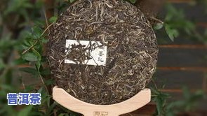 兰花香最强的普洱茶品种及特点：生茶、好喝程度、兰香来源全解析