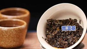 咳嗽能喝柑橘普洱茶吗？女性适用吗？