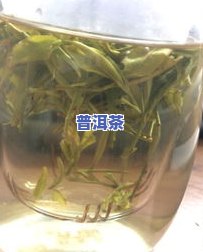 锦绣七尊普洱茶多少钱一斤-锦绣七尊普洱茶多少钱一斤啊