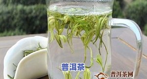 浙江这里出名的茶叶是什么茶？揭晓浙江名茶品种！