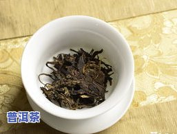 如何正确浸泡普洱茶的方法与步骤详解