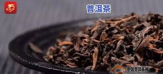 泡普洱茶的方法步骤详解及图片教程