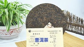 十大古树普洱茶排行：最新排行榜揭晓，揭秘前十大名茶及其图片