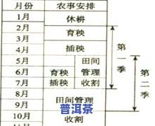 云贵高原种茶的优势及有利条件分析