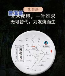 十大古树普洱茶排行榜：深度解析与购买指南