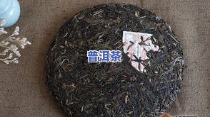 古树普洱茶多少钱一袋？最新价格及购买指南