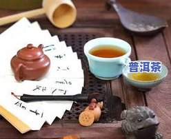 一百多一两的茶叶：价格、品质与种类全面解析