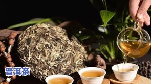 完整泡茶普洱茶步骤：图文 视频教程