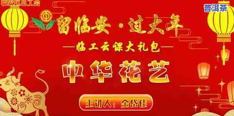 普洱茶直播大礼包真实性：来自、视频的专业解析与评价