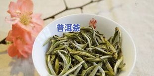 桑植白茶：揭示其茶类归属与独特功效