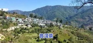 云南双江勐库冰岛茶叶：精制厂介绍、联系方式与产品信息