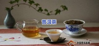 深度解析：普洱茶的口感与味道，你了解多少？