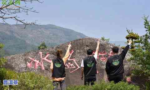 双江勐库冰岛老寨搬迁疑问：探析云南双江县勐库冰岛茶原产地保护与村民生活改善