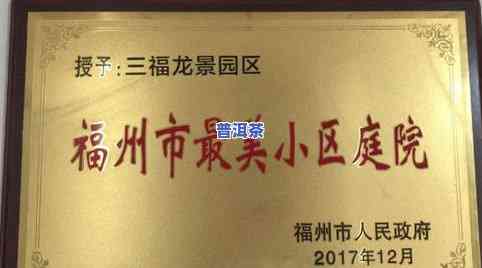 吉盛祥普洱茶私人定制：品质、服务与价格全解析