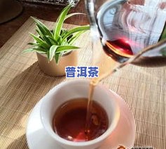 熟茶越陈越香吗？真的是这样吗？