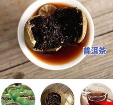 普洱茶1000克饼：尺寸、品质与价格全解析