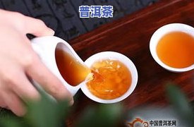 一百克普洱茶饼-一百克普洱茶饼多少钱