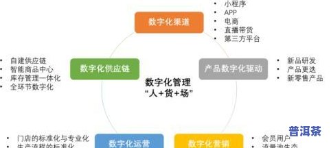 实体店买茶叶去哪里买好？如何选择及进货渠道解析