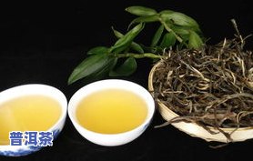 木子普洱茶-木止普洱茶