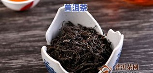 最苦的普洱茶是哪个山头？探究口感最重的茶叶品种