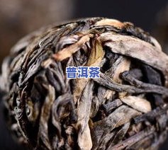 味知年勐海老树普洱茶-勐海味知年茶厂