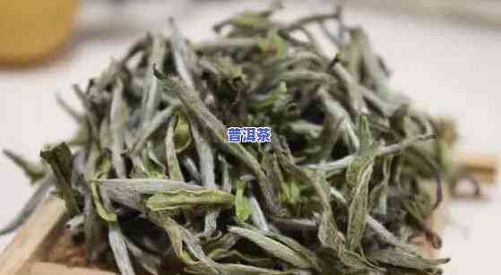 白普洱茶价格是多少？白普洱茶多少钱一斤？了解普洱白茶价格及查询方式！