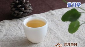 普洱生茶哪个季节喝更佳？作用因素解析