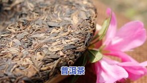 普洱散茶的加工技术详解：工艺、步骤与视频