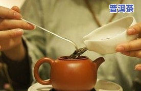 普洱茶紫芽生茶：苦涩口感？能否饮用？揭秘起因与品饮体验