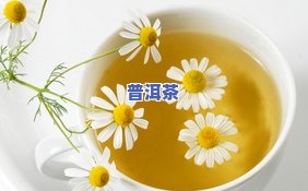 普洱茶加菊花：健康功效与作用详解