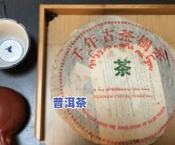 普洱茶饼蒸开方法视频教程：详解全过程